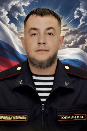  Токмин  
 Владимир  
 Игоревич 